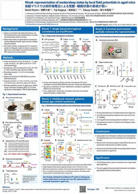 信息图 / 教育视觉图 - Research Paper Academic Poster AI 提示词效果图