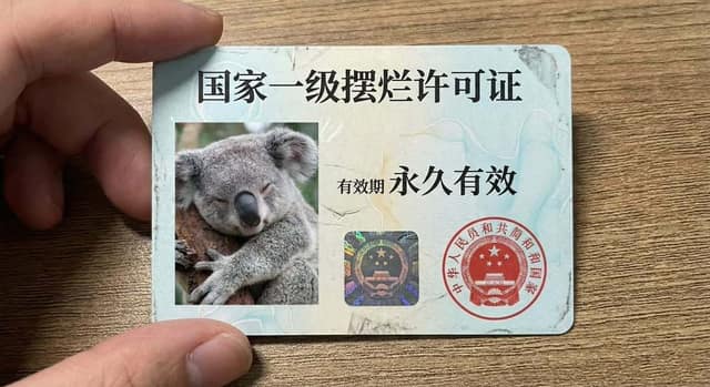 国家一级摆烂许可证 AI 提示词效果图